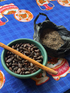 Fresh cacao beans and ingredients used during traditional Mayan chocolate workshop