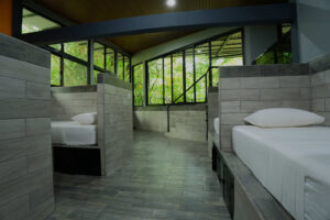 Bright open-concept female dorm with jungle views and individual beds at Greengo’s